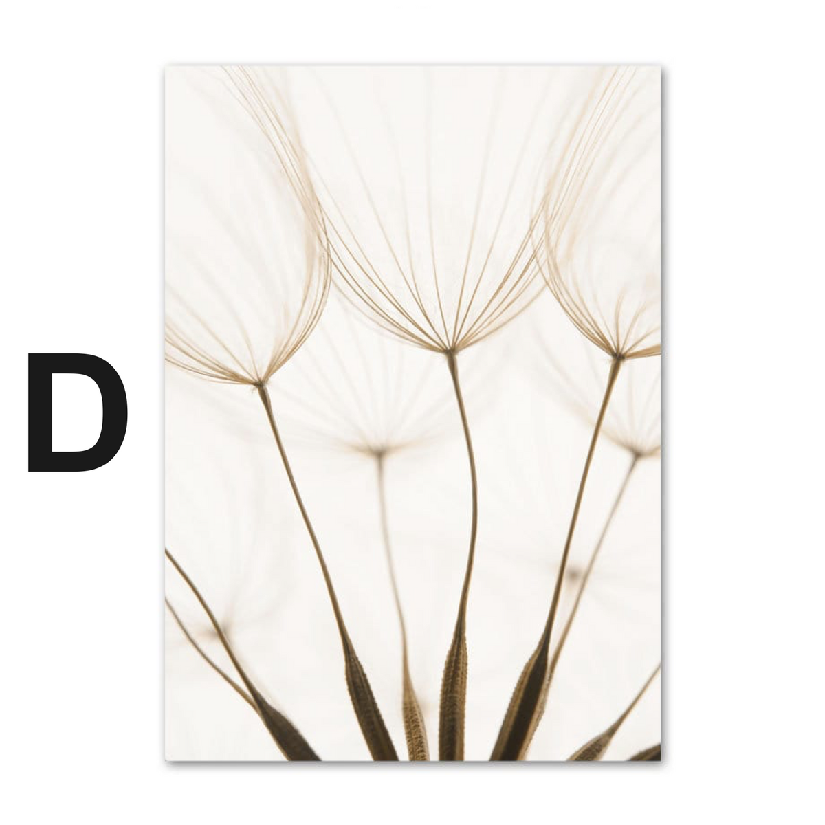 Poster Pampasgras Beige Liebe · Wandbilder Wohnzimmer & Schlafzimmer ·  Deko Print Bilder · ohne Rahmen