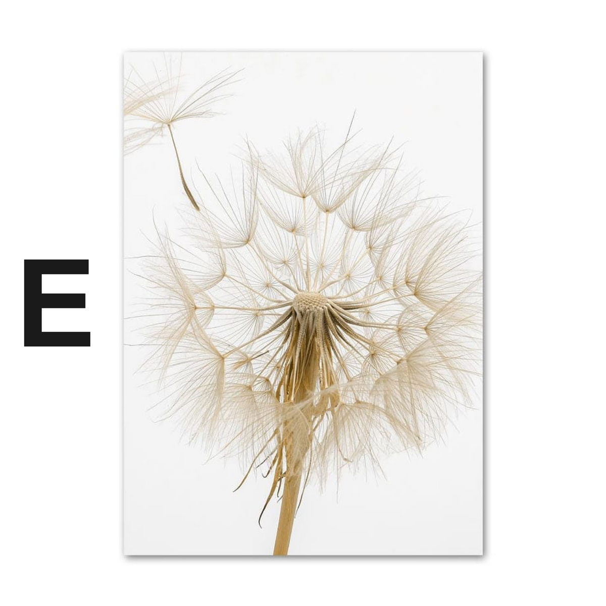 Poster Pampasgras Beige Liebe · Wandbilder Wohnzimmer & Schlafzimmer ·  Deko Print Bilder · ohne Rahmen
