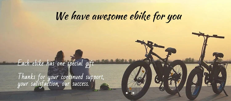 Ecotric Factory Supply Snow E Cycle Electric Bike Bicycle Classic E Bicycle for Adult