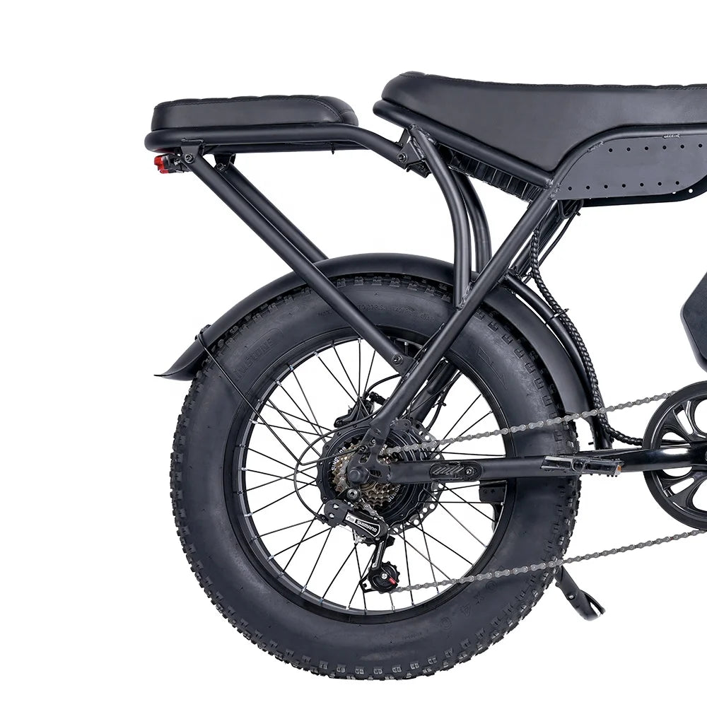 US Stock 750W 7 Speed 30mph Electric Mountain Bike 20*4 Inch Fat Tire Ebike Hydraulic Disc Brake Dual Motor Electric Bike