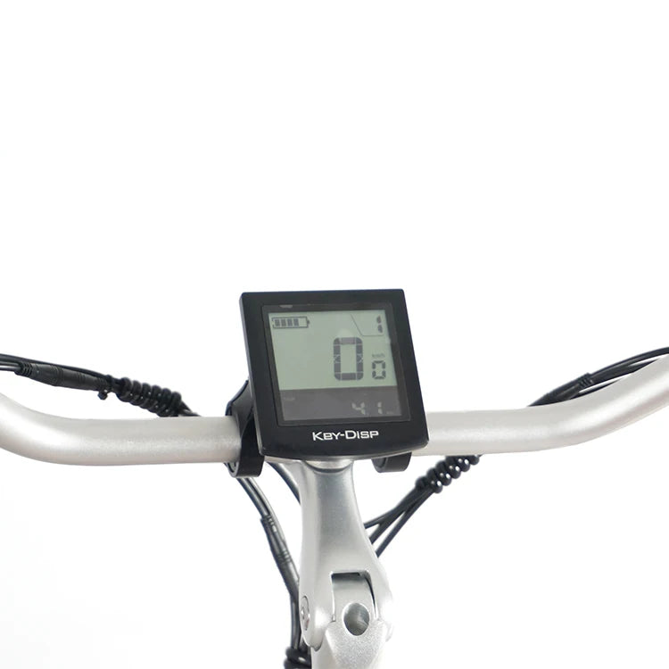EZREAL 350 Watt Electric Bicycle 24 Inch Fat Tire 7 Speed Electronic Tricycles Open Frame 36V Electric Bike