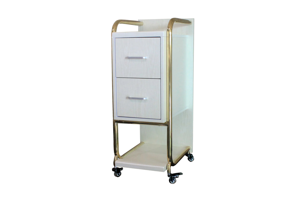 Modern Stainless Steel Adjustable 2-Tier 4-Wheel Salon Hair Color Trolley with White and Pink Glam Design