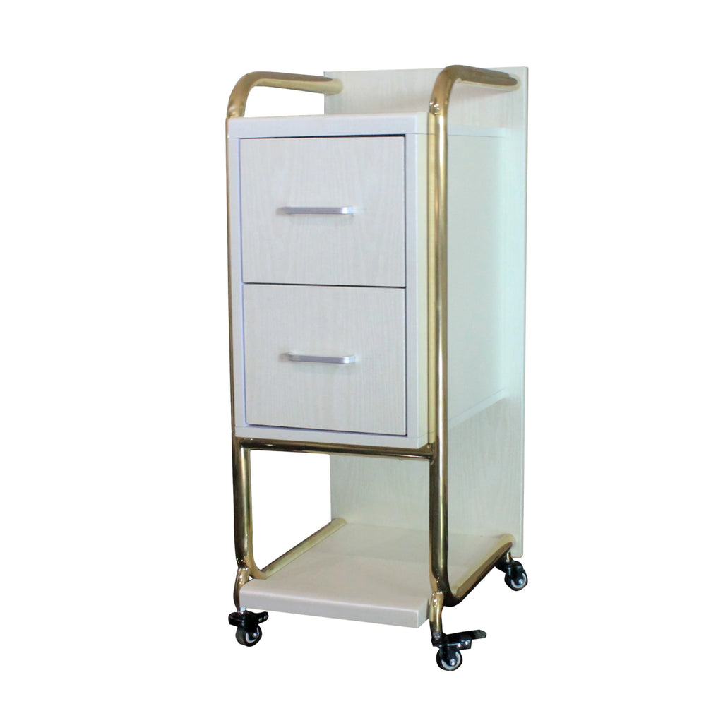 Modern Stainless Steel Adjustable 2-Tier 4-Wheel Salon Hair Color Trolley with White and Pink Glam Design