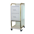 Modern Stainless Steel Adjustable 2-Tier 4-Wheel Salon Hair Color Trolley with White and Pink Glam Design