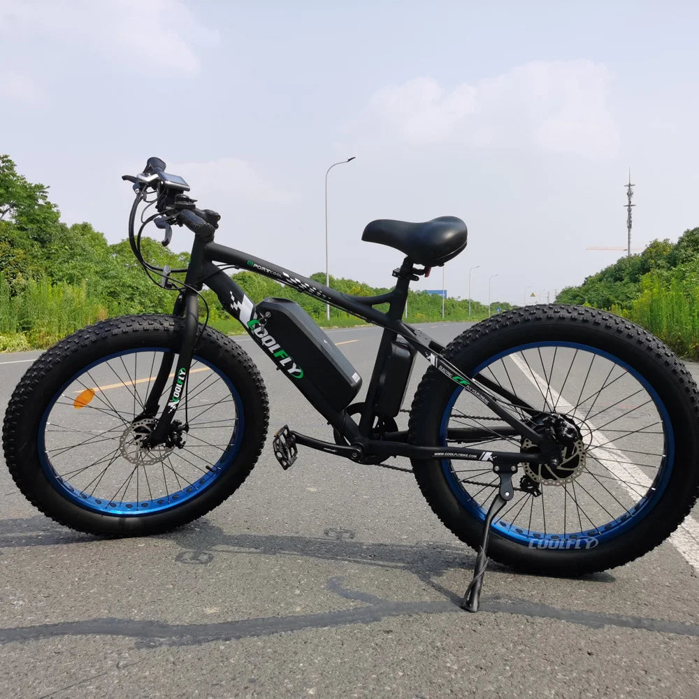 Ecotric Factory Supply Snow E Cycle Electric Bike Bicycle Classic E Bicycle for Adult