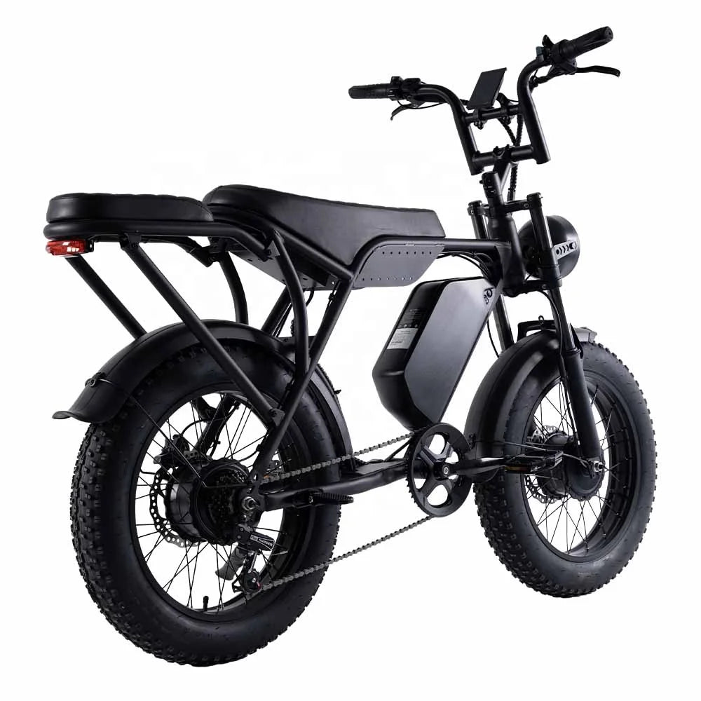 US Stock 750W 7 Speed 30mph Electric Mountain Bike 20*4 Inch Fat Tire Ebike Hydraulic Disc Brake Dual Motor Electric Bike