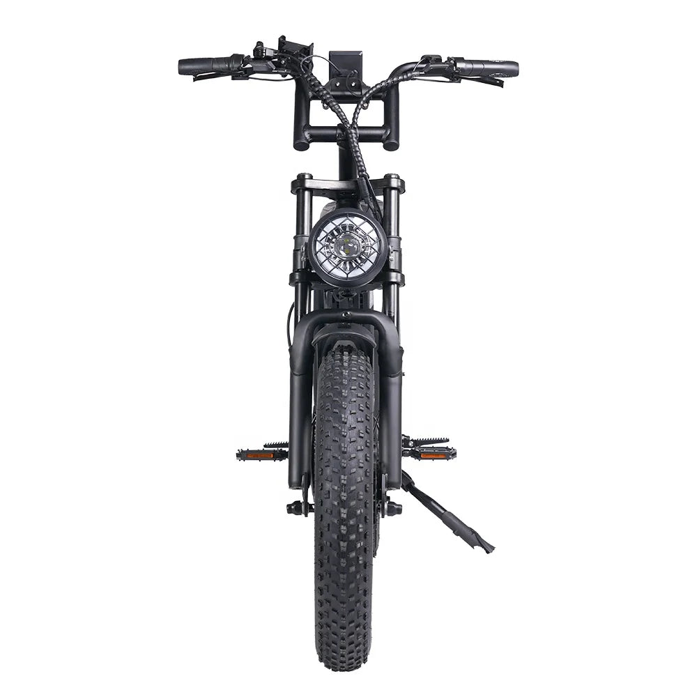 US Stock 750W 7 Speed 30mph Electric Mountain Bike 20*4 Inch Fat Tire Ebike Hydraulic Disc Brake Dual Motor Electric Bike