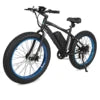 Ecotric Factory Supply Snow E Cycle Electric Bike Bicycle Classic E Bicycle for Adult