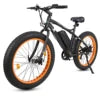 Ecotric Factory Supply Snow E Cycle Electric Bike Bicycle Classic E Bicycle for Adult