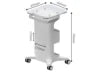 Free Shipping Luxury Spa Salon Trolley Cart Plastic Modern Design Hospital Use Facial Beauty Equipment