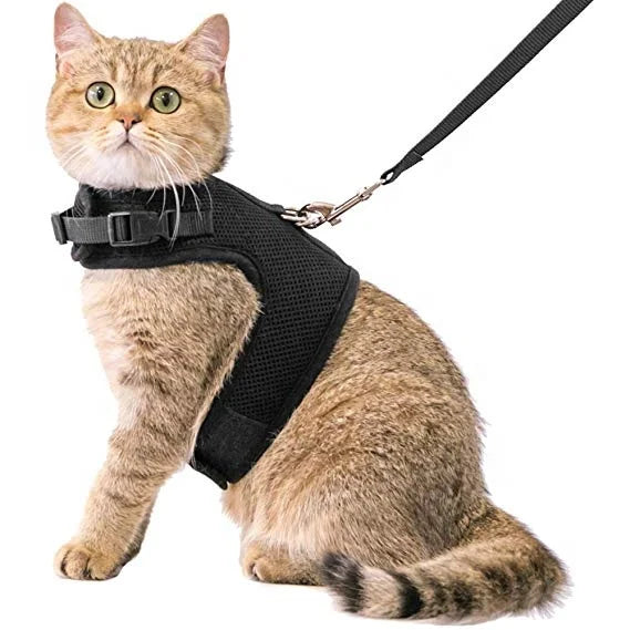 Black air Mesh Collar Cat Harness Adjustable with Leash