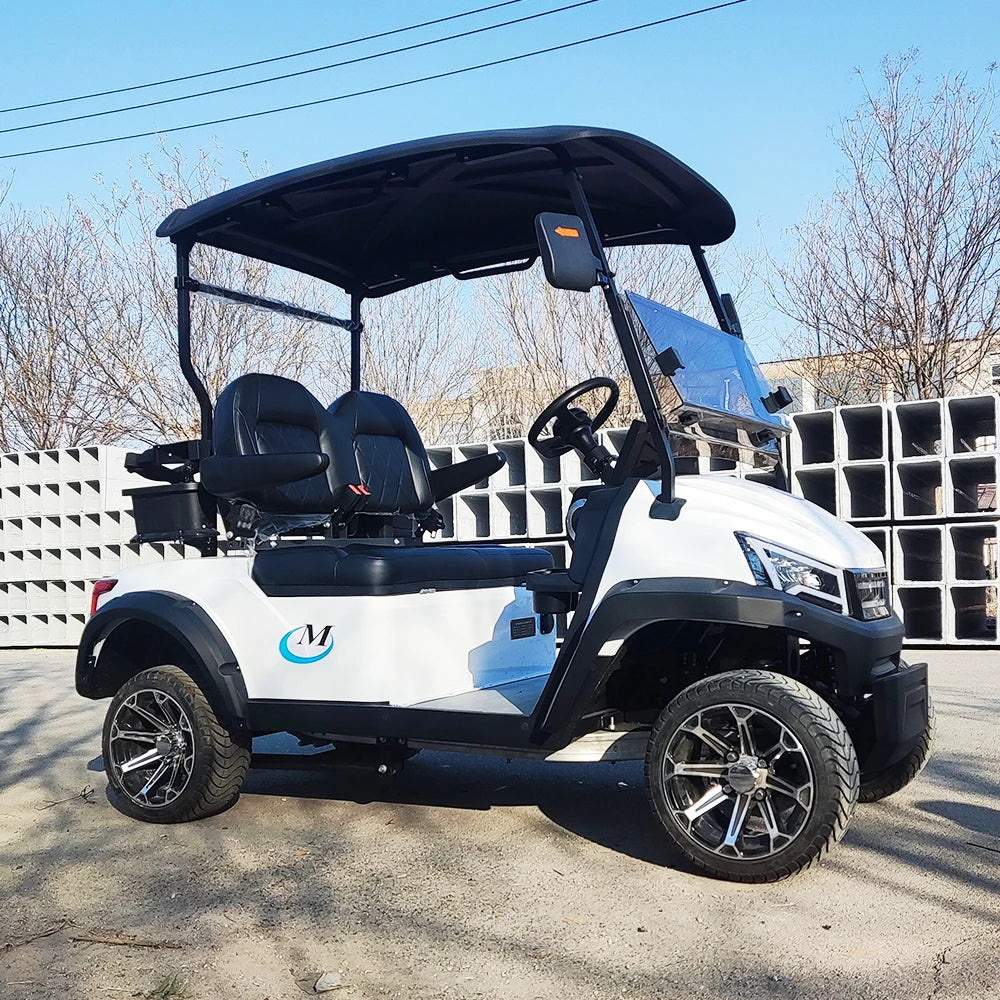 Golf Car Electric Power Buggy Vehicles 2 4 6 Passenger Golf Cart Accept Customize