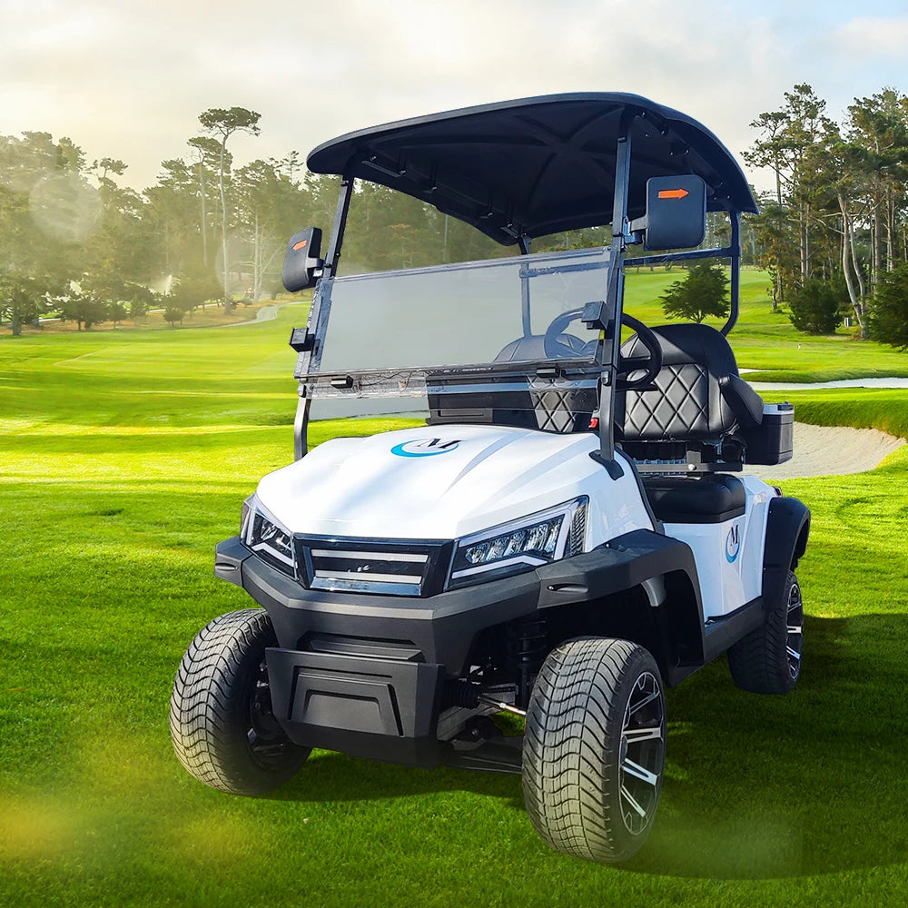 Golf Car Electric Power Buggy Vehicles 2 4 6 Passenger Golf Cart Accept Customize