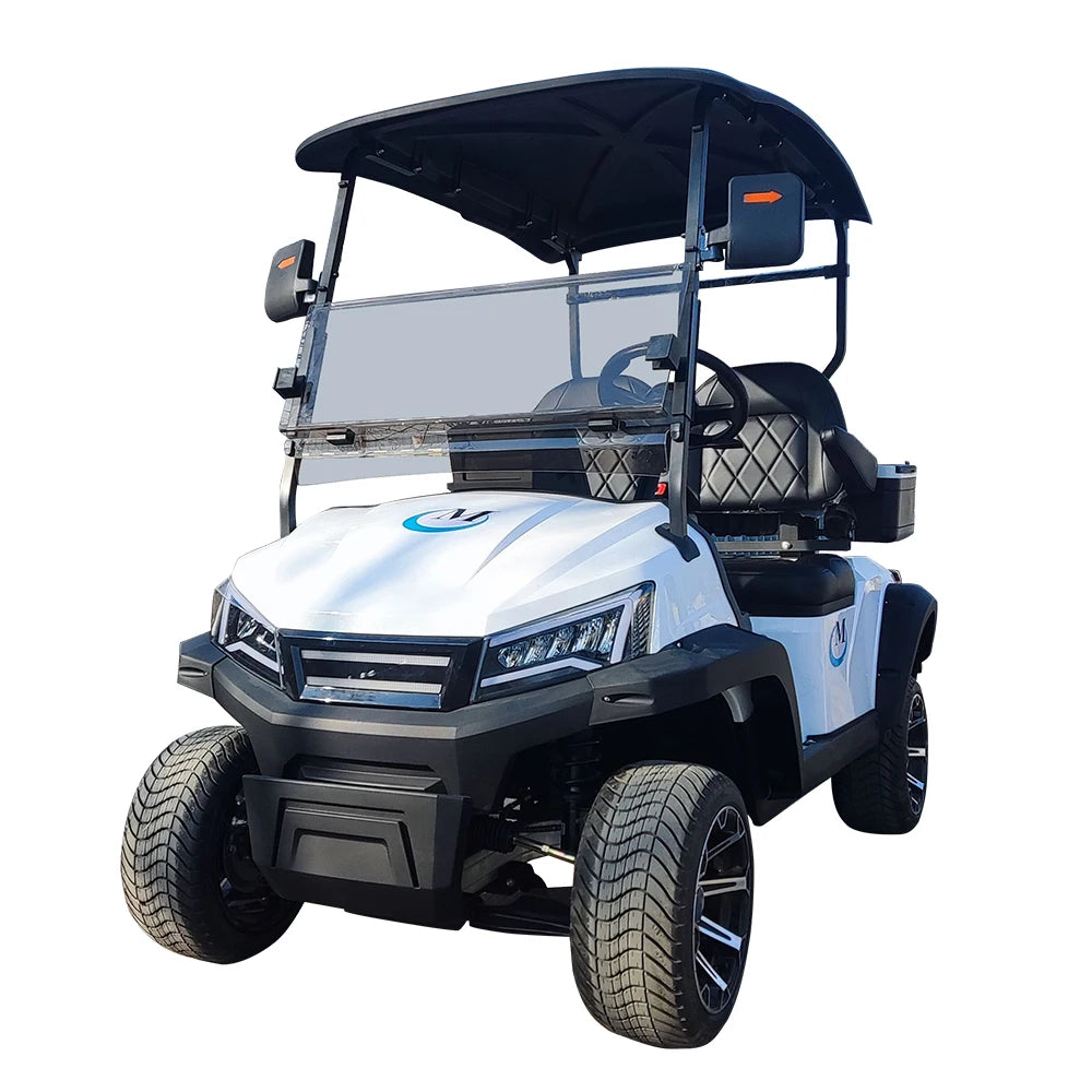 Golf Car Electric Power Buggy Vehicles 2 4 6 Passenger Golf Cart Accept Customize