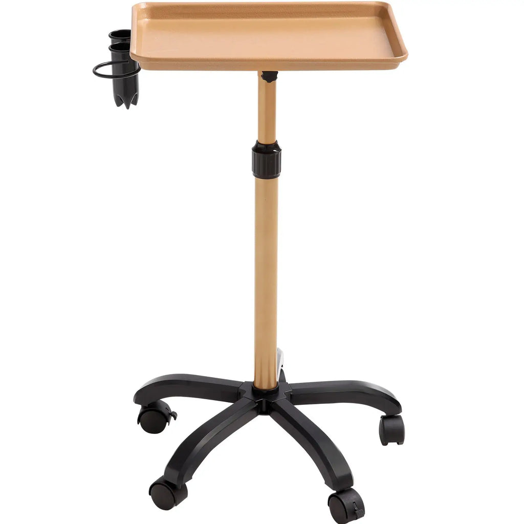 Adjustable 30\"-43\" Metal Salon Tray Cart with 5 Lockable Wheels Cold Rolled Plate Tattoo Tray 2022 SPA Model