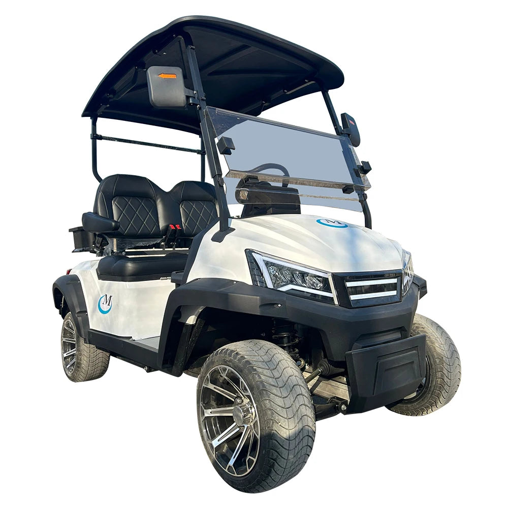 Golf Car Electric Power Buggy Vehicles 2 4 6 Passenger Golf Cart Accept Customize