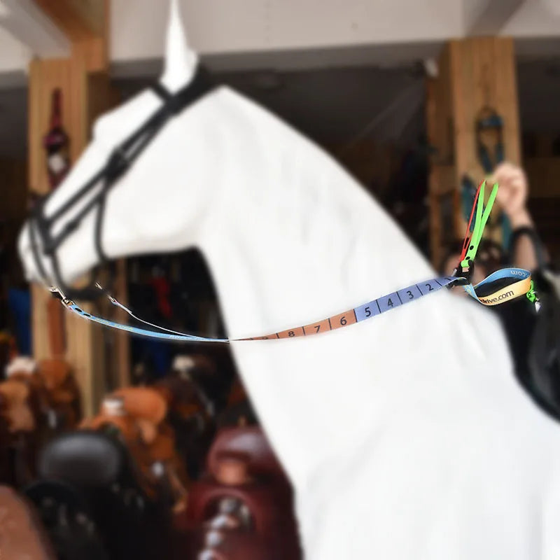 Children's Reins Colorful with Scale Kids Learning Equestrian Supplies