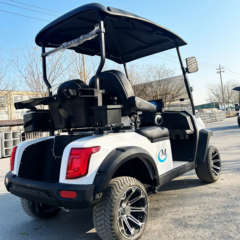 Golf Car Electric Power Buggy Vehicles 2 4 6 Passenger Golf Cart Accept Customize