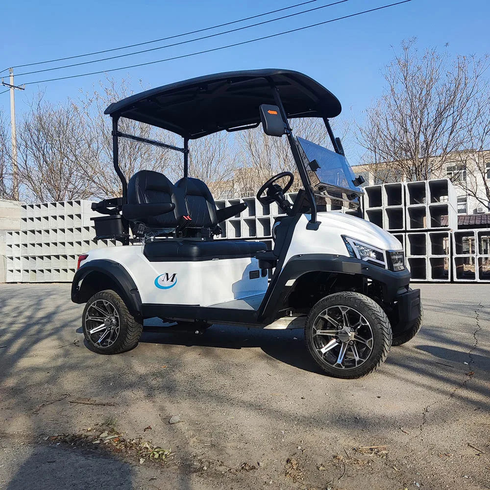 Golf Car Electric Power Buggy Vehicles 2 4 6 Passenger Golf Cart Accept Customize