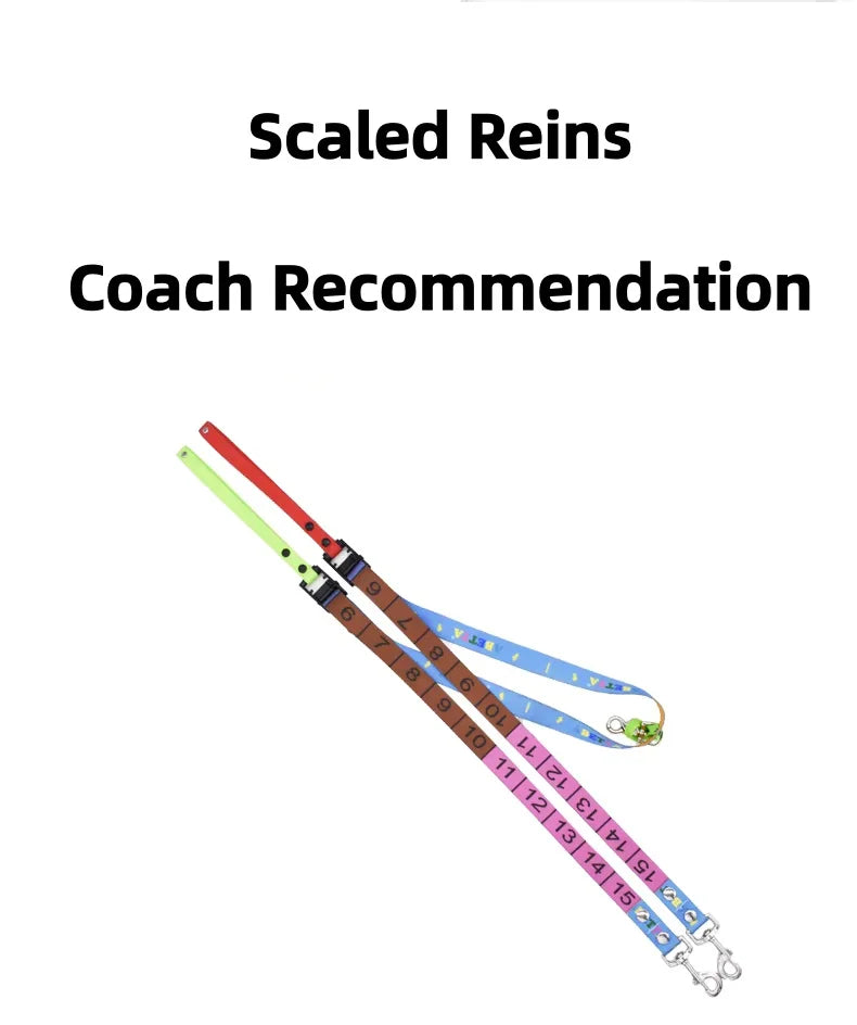 Children's Reins Colorful with Scale Kids Learning Equestrian Supplies