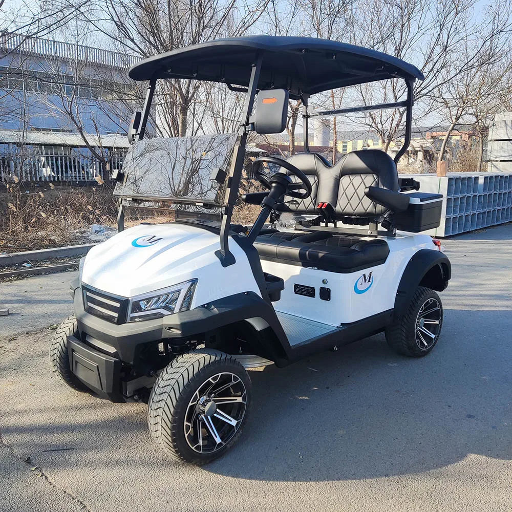 Golf Car Electric Power Buggy Vehicles 2 4 6 Passenger Golf Cart Accept Customize