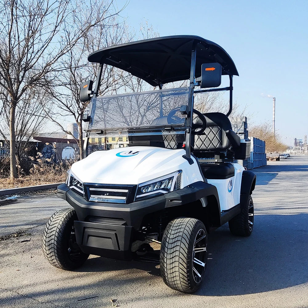 Golf Car Electric Power Buggy Vehicles 2 4 6 Passenger Golf Cart Accept Customize