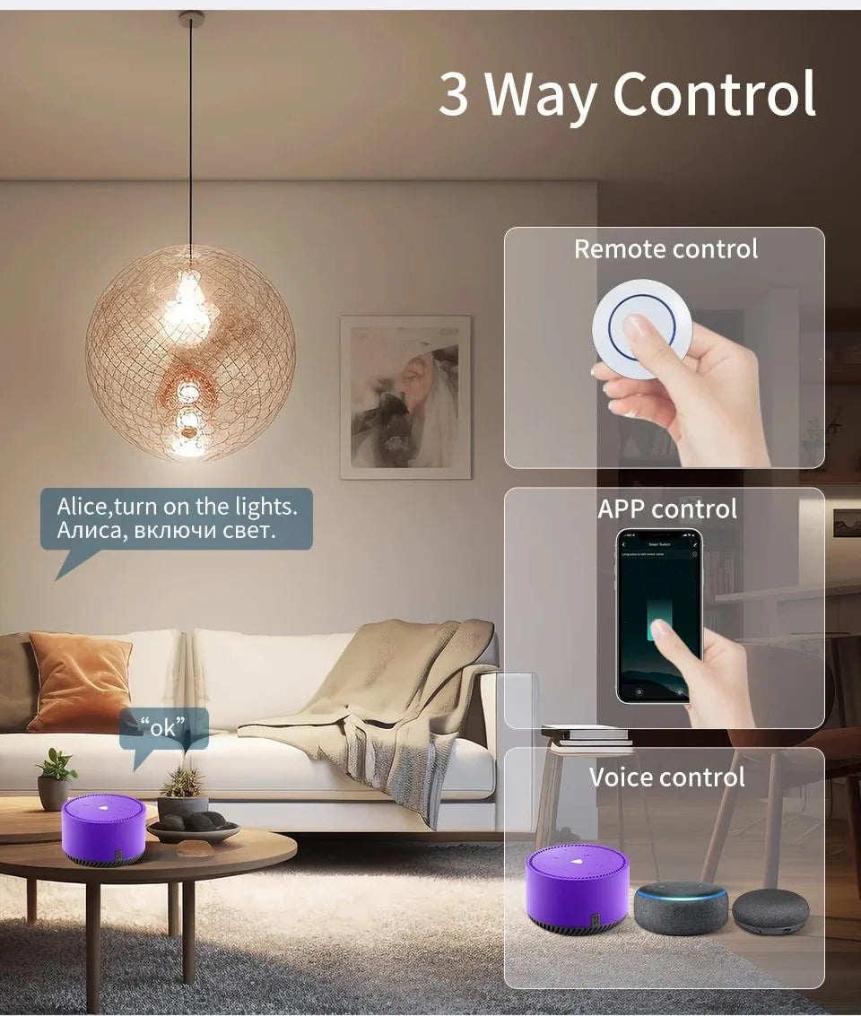 Ewelink WIFI RF 7-32v Garage Door Opener Module Sliding Gate Controller Smart Switch  Alexa Googole Home
