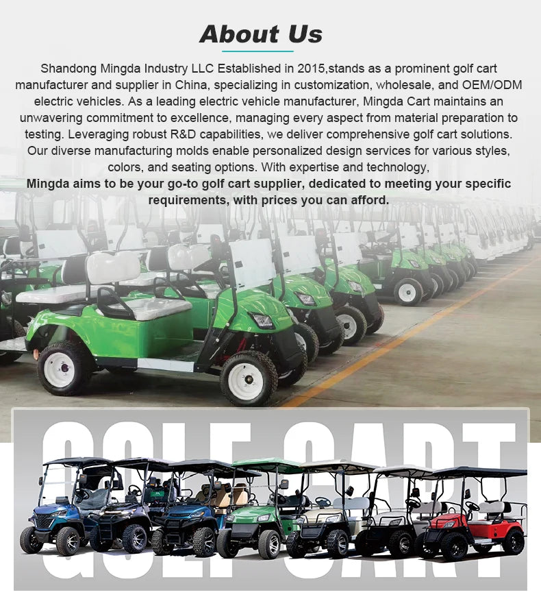 Golf Car Electric Power Buggy Vehicles 2 4 6 Passenger Golf Cart Accept Customize